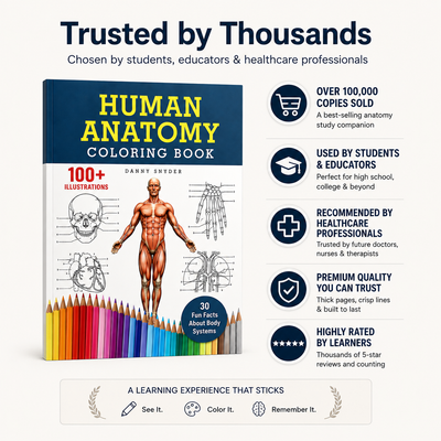Human Anatomy Coloring Book: 100+ Illustrations In The Anatomy & Physiology Workbook For Adults, Nurses, High School & Medical Students With 30 Fun Facts About Body Systems