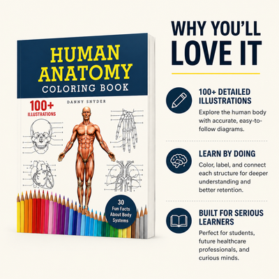 Human Anatomy Coloring Book: 100+ Illustrations In The Anatomy & Physiology Workbook For Adults, Nurses, High School & Medical Students With 30 Fun Facts About Body Systems