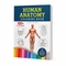 Human Anatomy Coloring Book: 100+ Illustrations In The Anatomy & Physiology Workbook For Adults, Nurses, High School & Medical Students With 30 Fun Facts About Body Systems