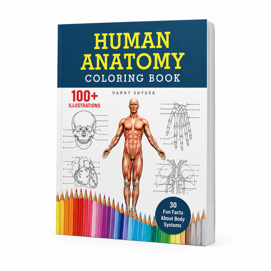 Human Anatomy Coloring Book: 100+ Illustrations In The Anatomy & Physiology Workbook For Adults, Nurses, High School & Medical Students With 30 Fun Facts About Body Systems